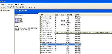 為什么Internet信息服務中沒有項目顯示？
